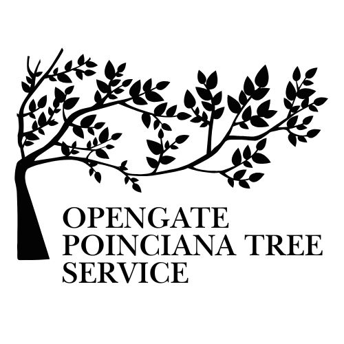OpenGate Poinciana Tree Service logo