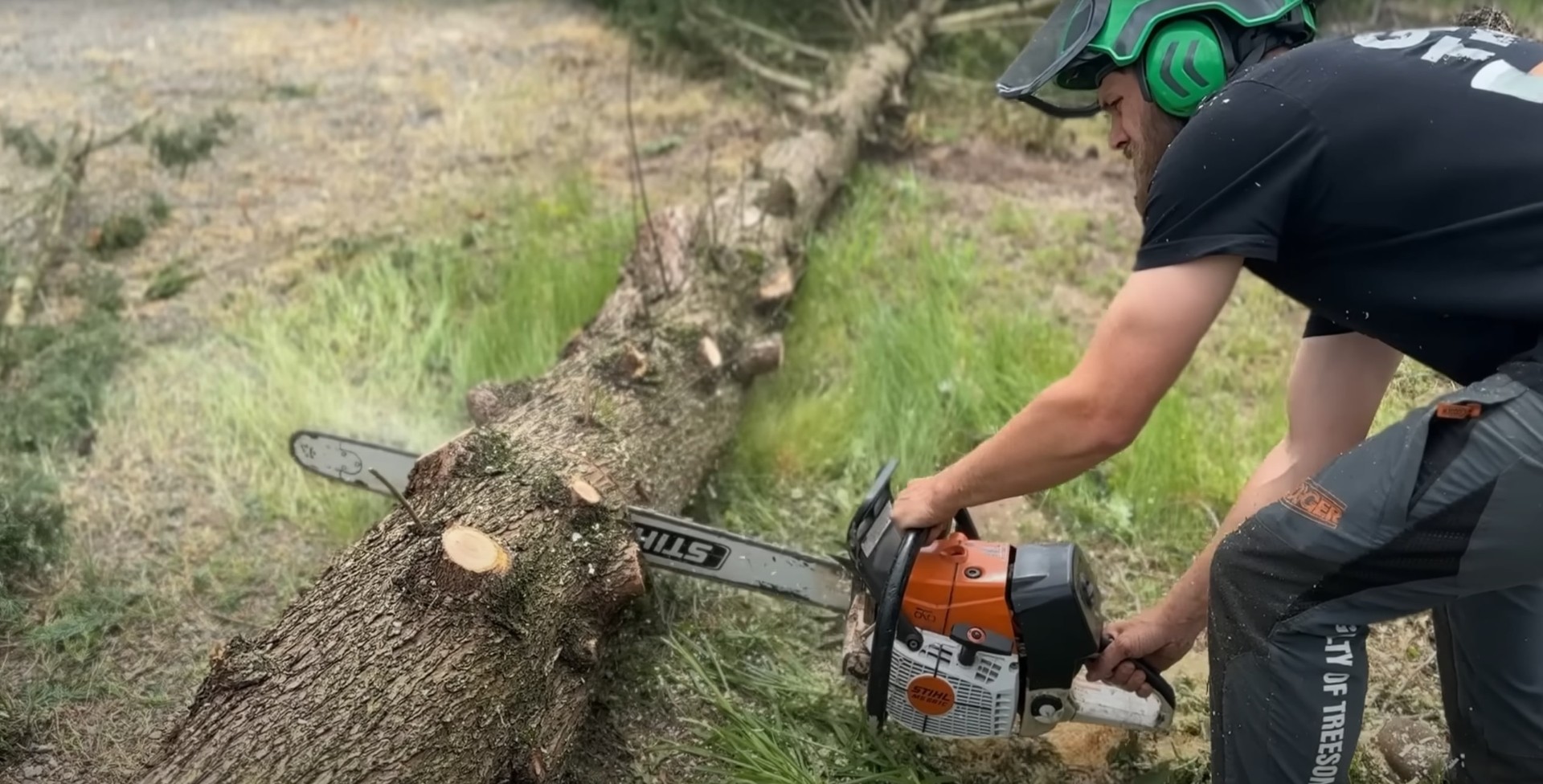 Professional tree cutting with precision and safety Chainsaw work for tree cutting and maintenance services