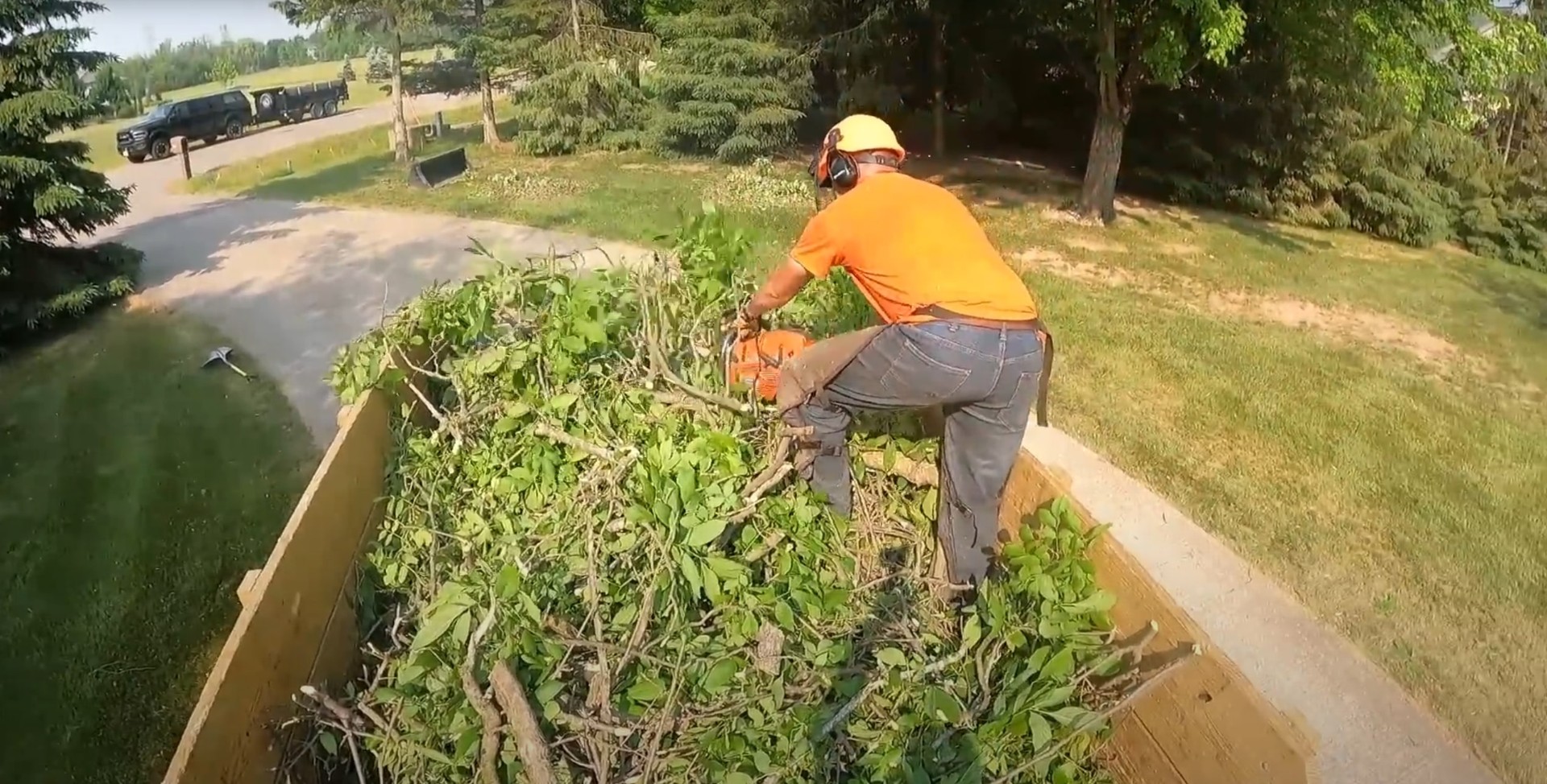 Professional vegetation clearing and land management services Tree service worker operating chainsaw for shrub and vegetation removal