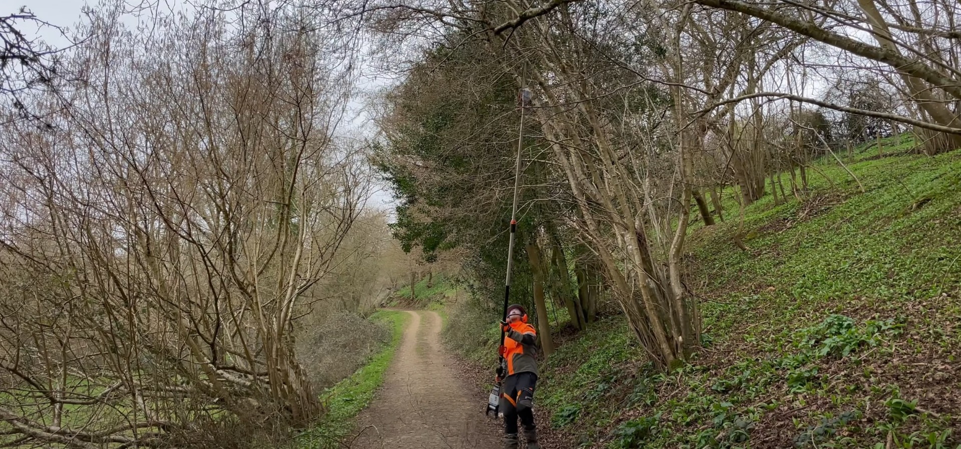 Arborist working in wooded area with professional tree cutting equipment
