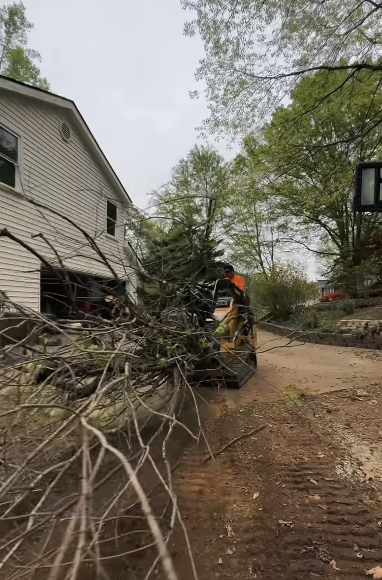 24/7 emergency tree services and storm damage response Emergency tree removal after storm damage with professional cleanup